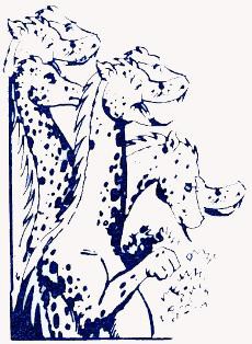 A verdadeira e maravilhosa história do dragão Samuel